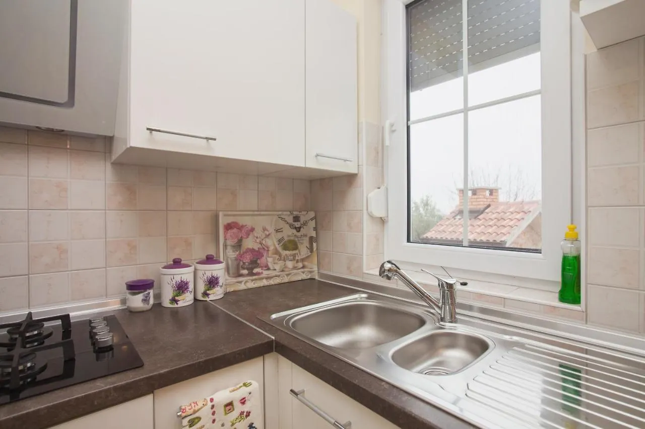 Villa Olive Zadarvillas Visocane
